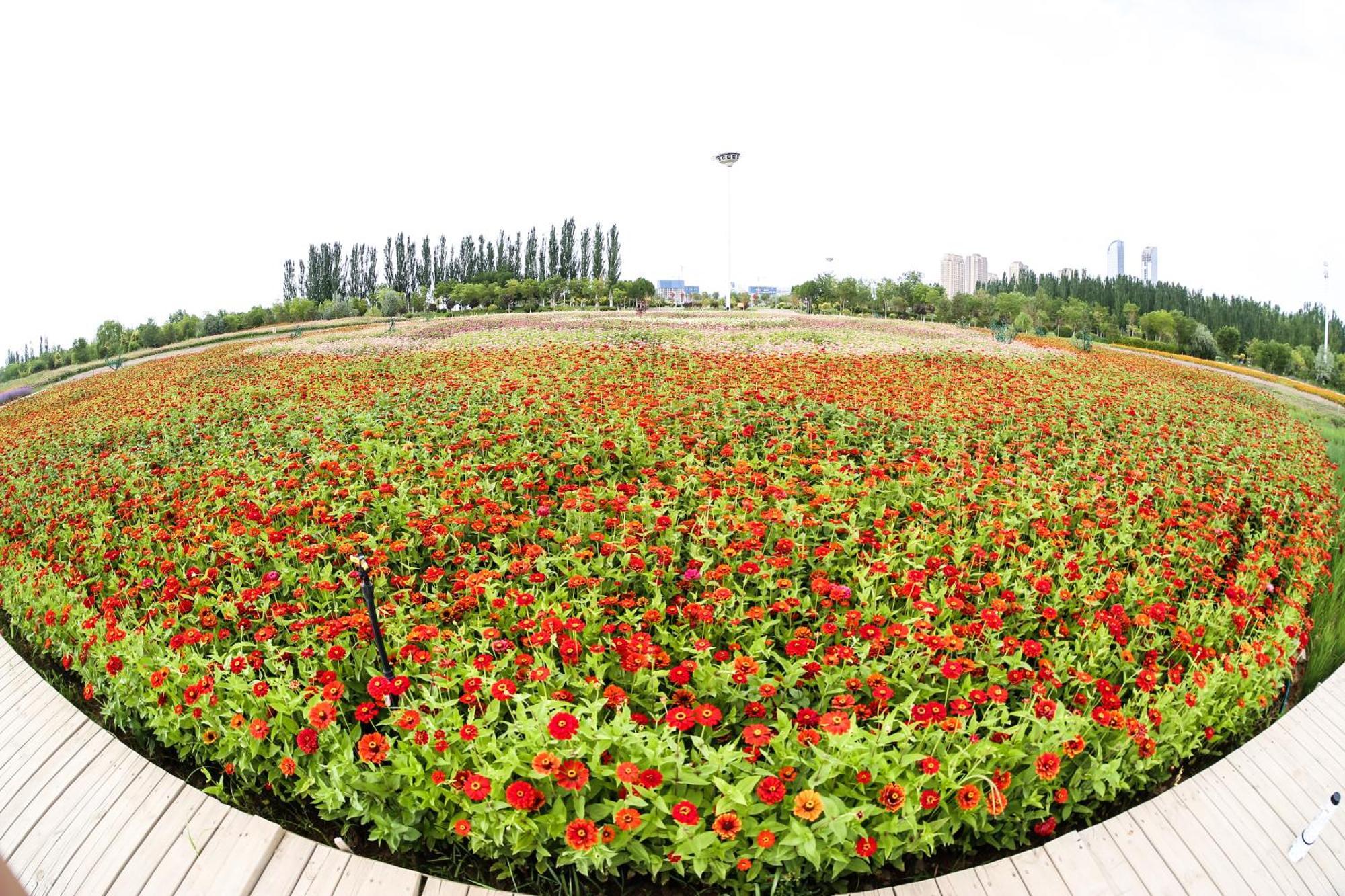 Primus Hotel Yinchuan Eksteriør billede