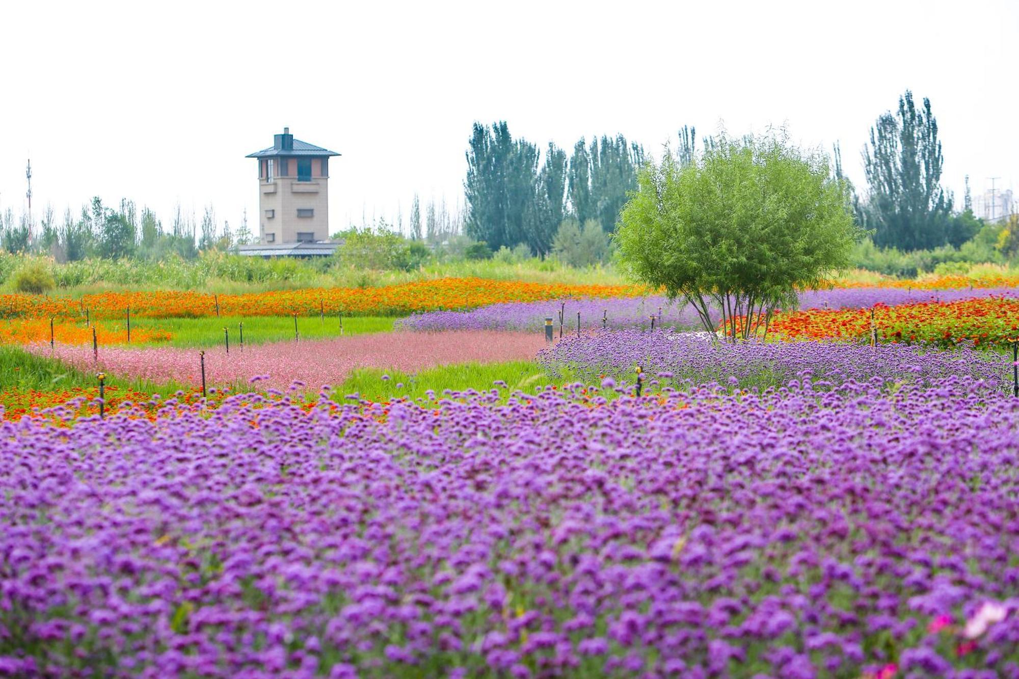 Primus Hotel Yinchuan Eksteriør billede